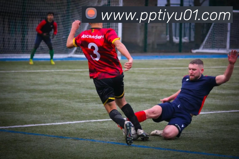 多媒体互动体验